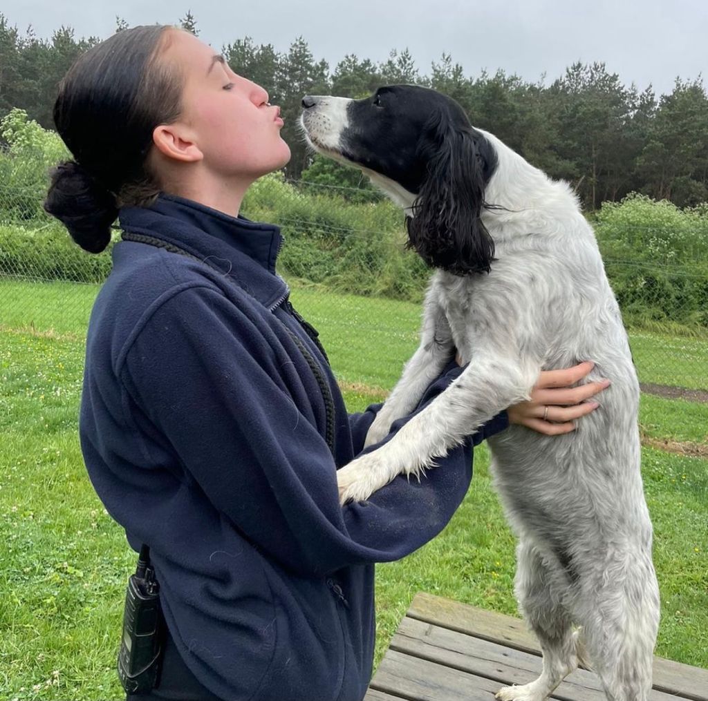 Oxfordshire Boarding Kennels