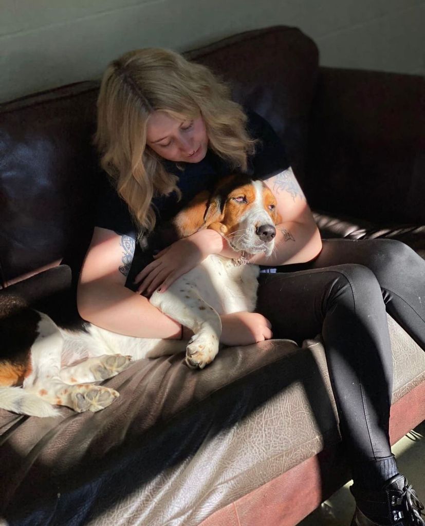 Oxfordshire Boarding Kennels