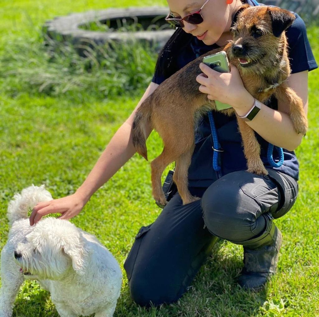 Oxfordshire Boarding Kennels