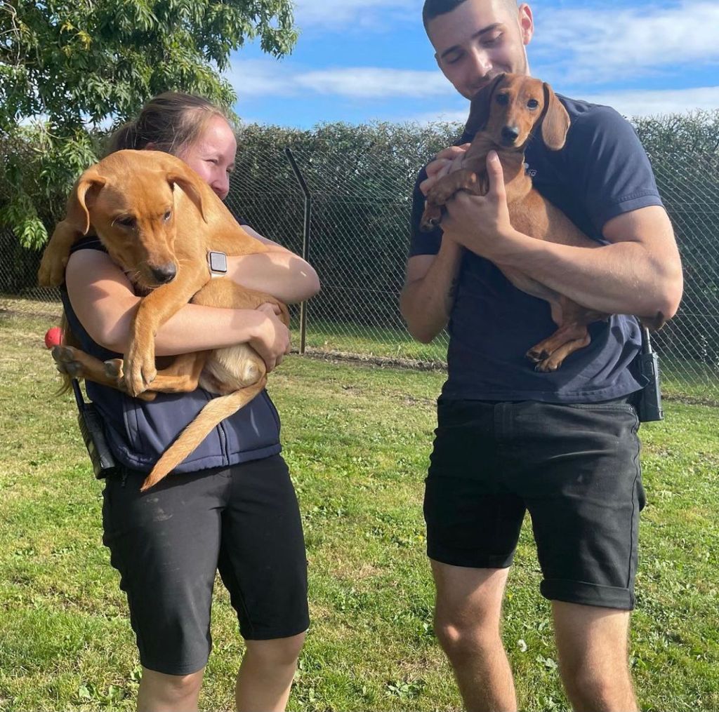 Oxfordshire Boarding Kennels