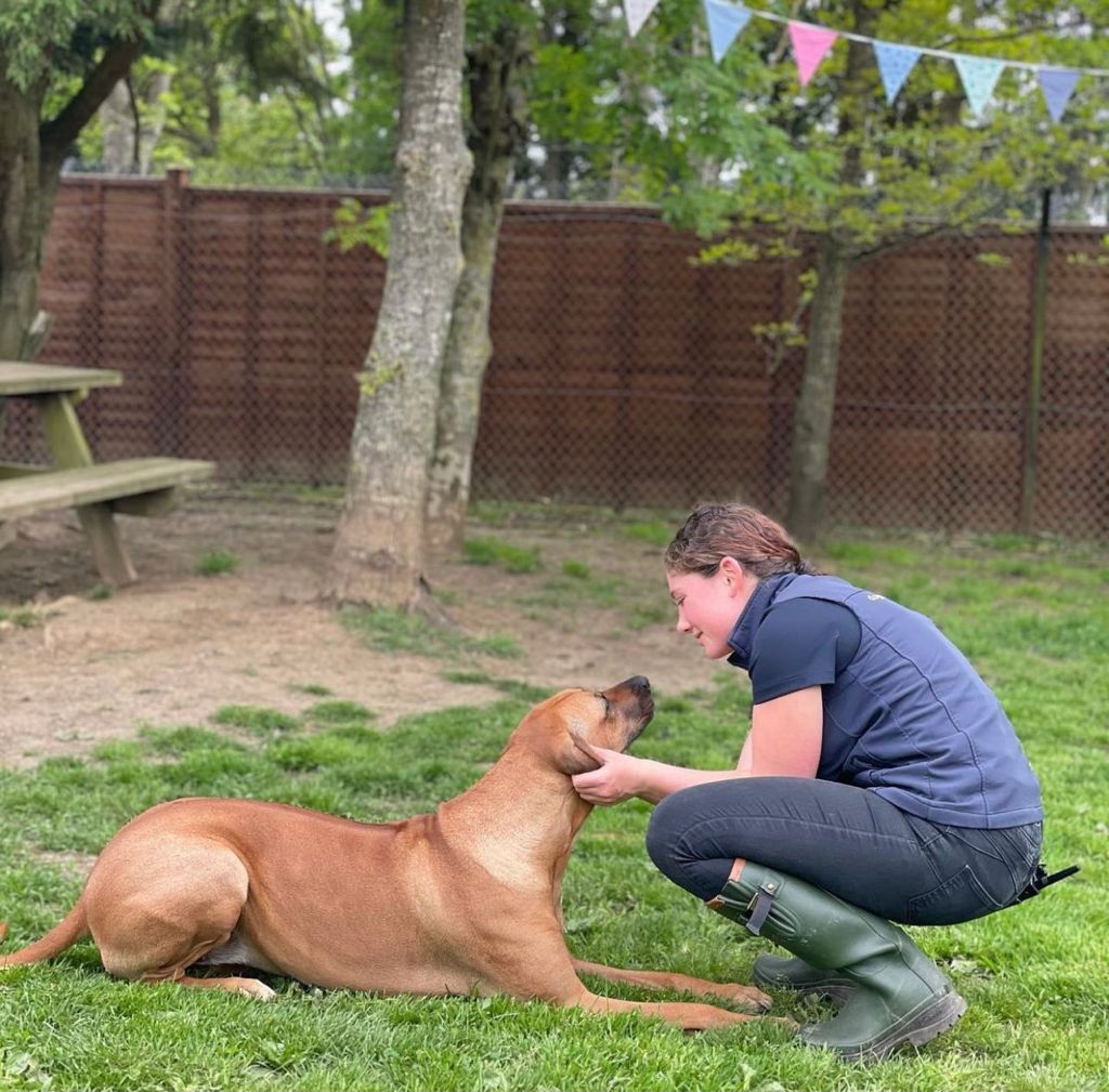 Oxfordshire Boarding Kennels